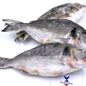 Рыба дорадо купить в СПб